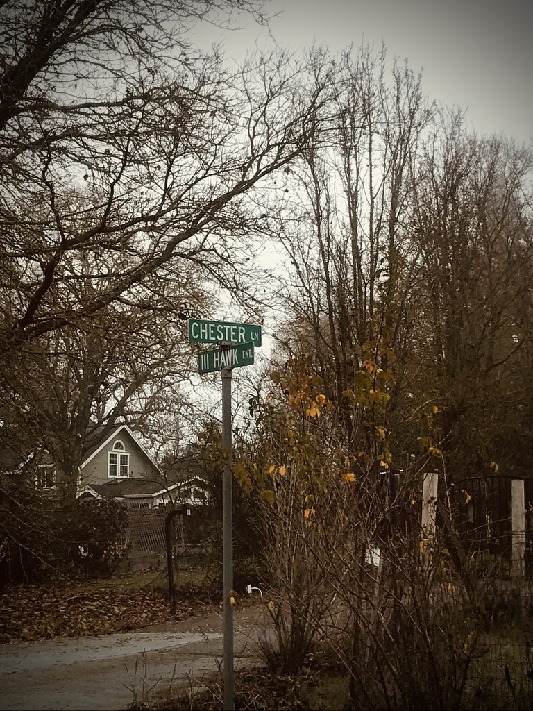 Beneath the Borealis, What's in a Name? December 30th, 2019, Chester, CA