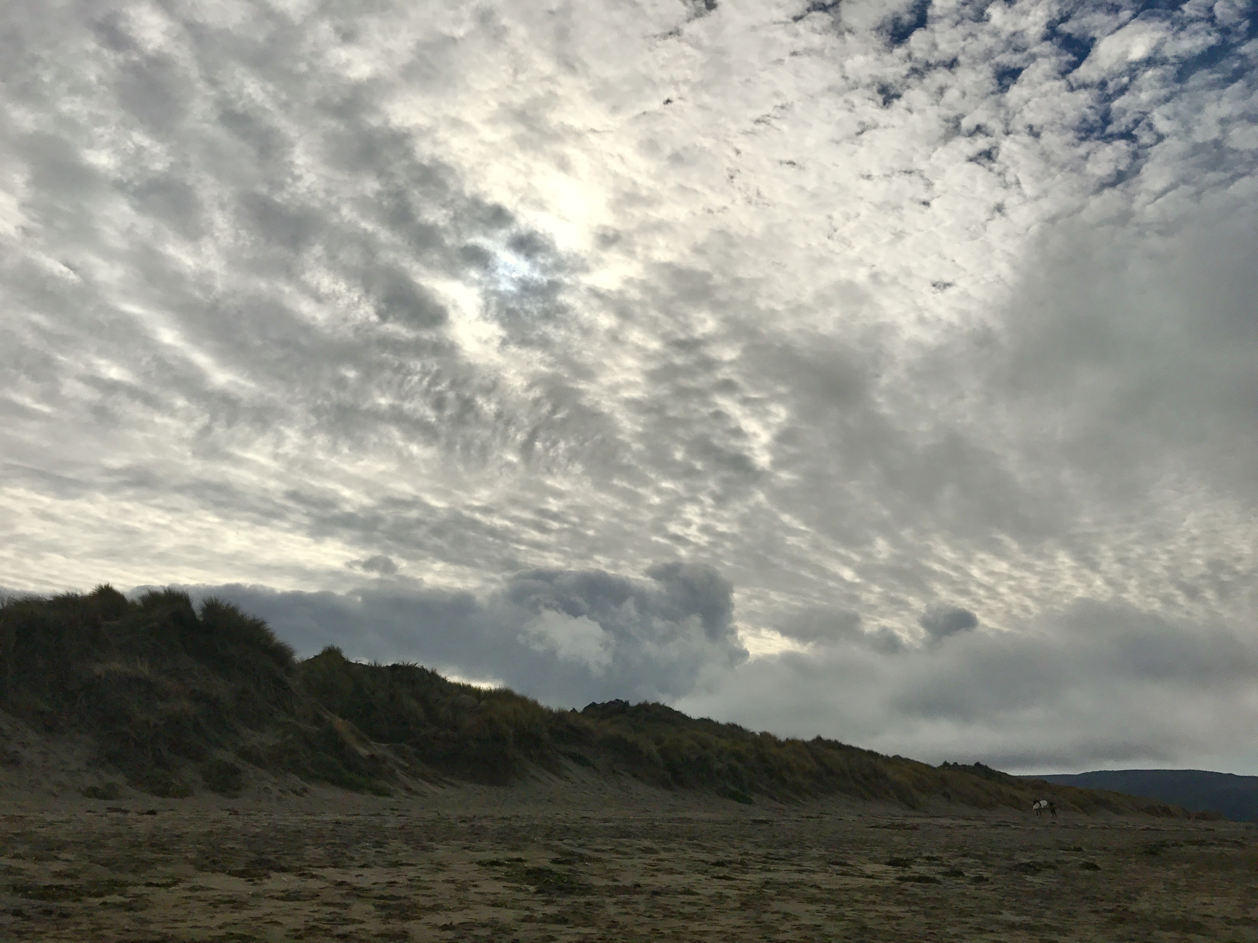 Beneath the Borealis, 40 Below (Alone), January 27th, 2020, California Dillon Beach