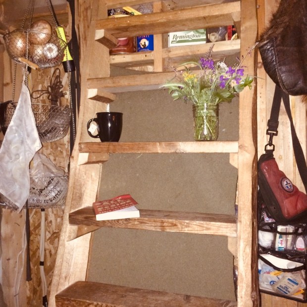 Beneath the Borealis, Building, 02-10-20, Alaska Tiny Home