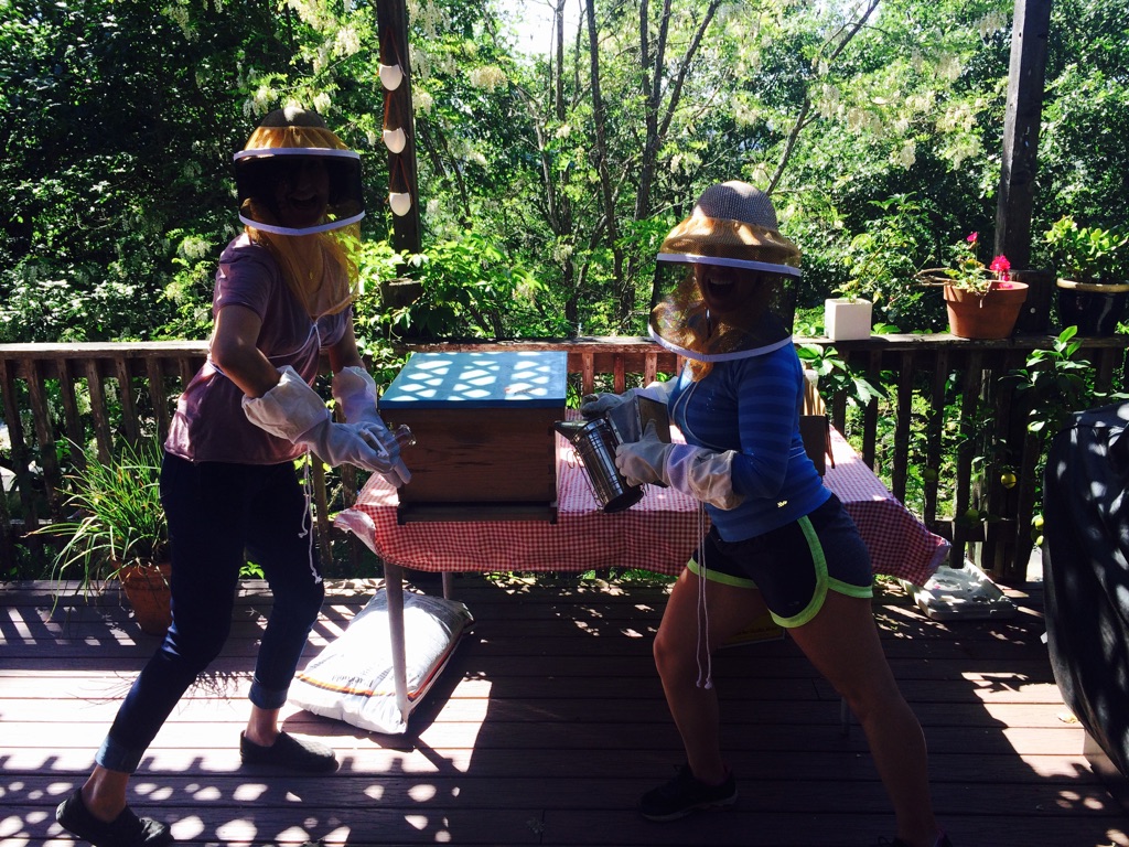 Beneath the Borealis, Building, 02-10-20, California Beekepers