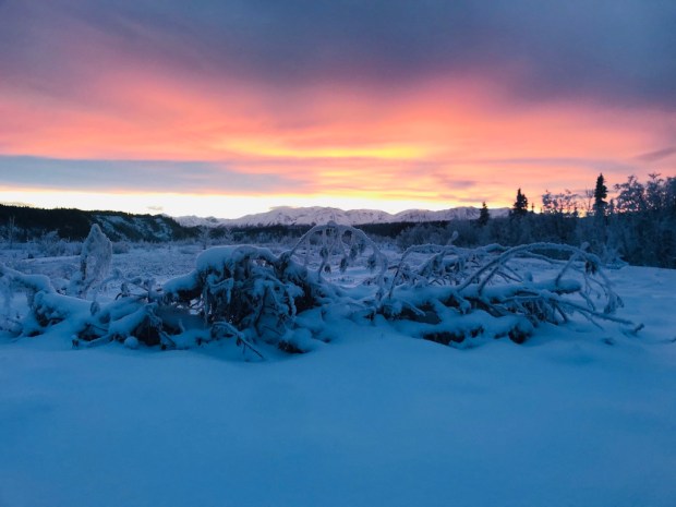 Beneath the Borealis Post Cabin Fever 02:24:20 December in Alaska