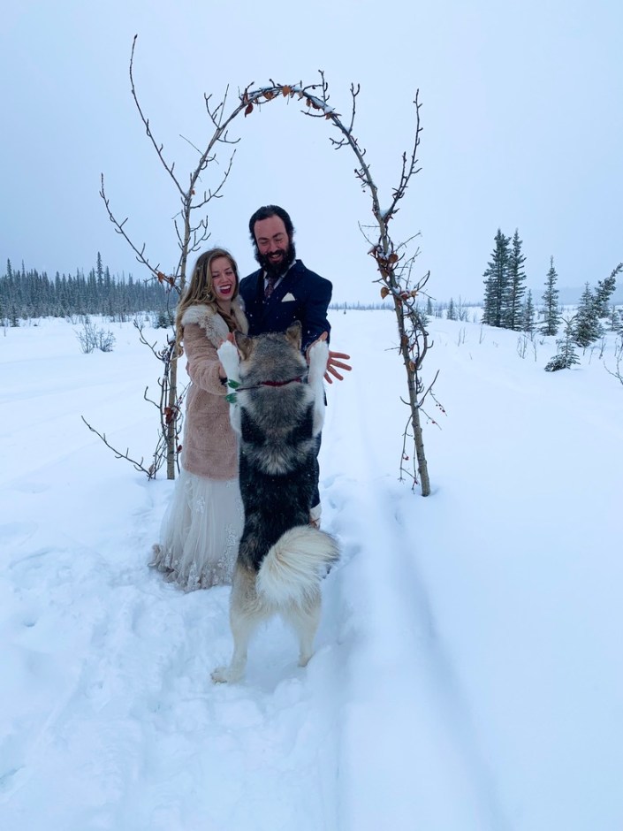 Beneath the Borealis, 03:09:20, The Sweetness of Saturdays, Alaskan Malamute Puppy High Five
