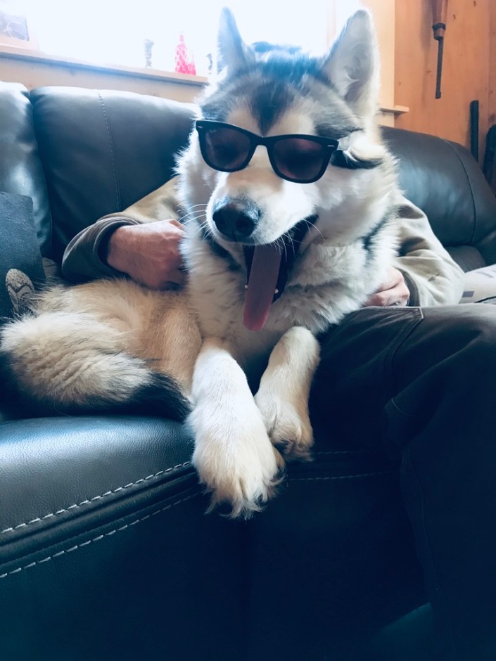 Beneath the Borealis, Apocatips, 03-23-20, Malamutes of Alaska