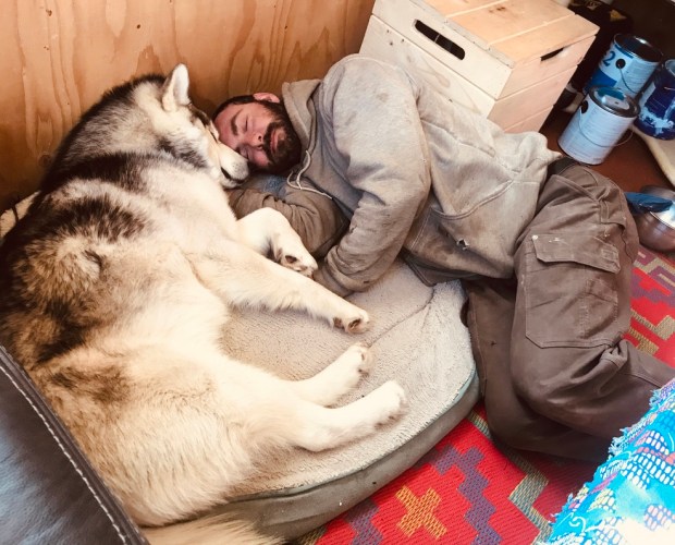 Beneath the Borealis, Post, Sown, 04-20-20, Alaskan Malamutes