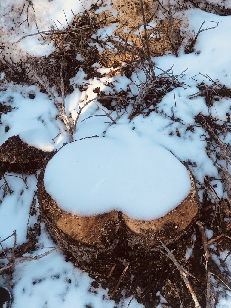 Beneath the Borealis, Post, Sown, 04-20-20, Weather in Alaska