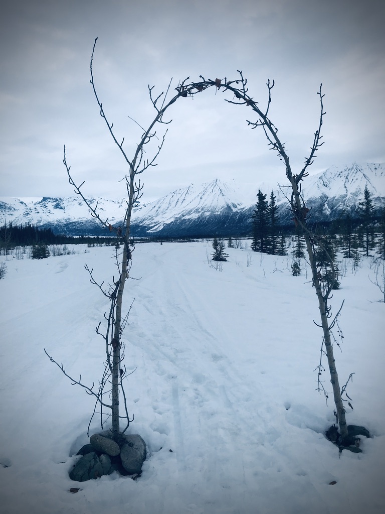 Beneath the Borealis, Post, Sown, 04-20-20, Wedding Arch in Alaska