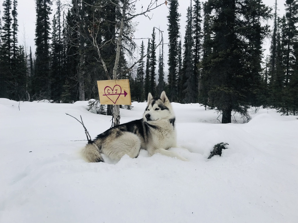 Beneath the Borealis, Post, Sown, 04-20-20, Weddings in Alaska.jpeg