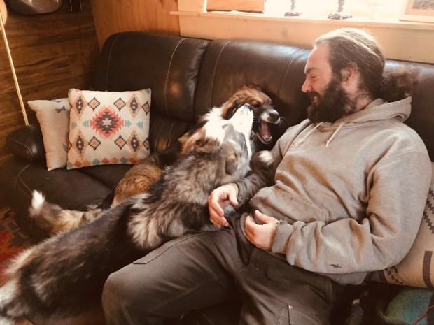 Beneath the Borealis, Alaskan Puppy Love, Alaskan Malamute I Love You