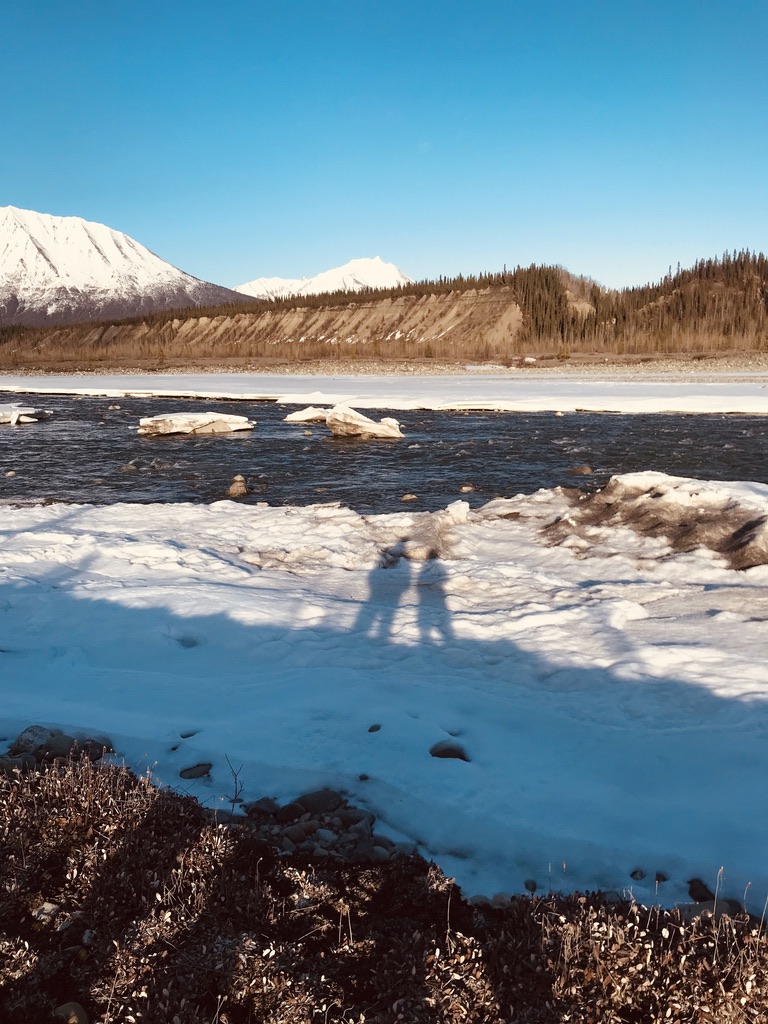 Beneath the Borealis, Alaskan Puppy Love, The Chesters of Alaska