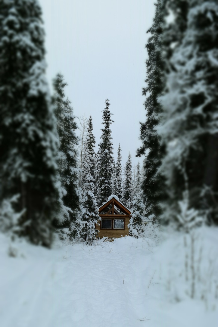 Beneath the Borealis, Living in Rural Alaska, The Library, or Lack Thereof, 05:18:20, Alaskan outhouse