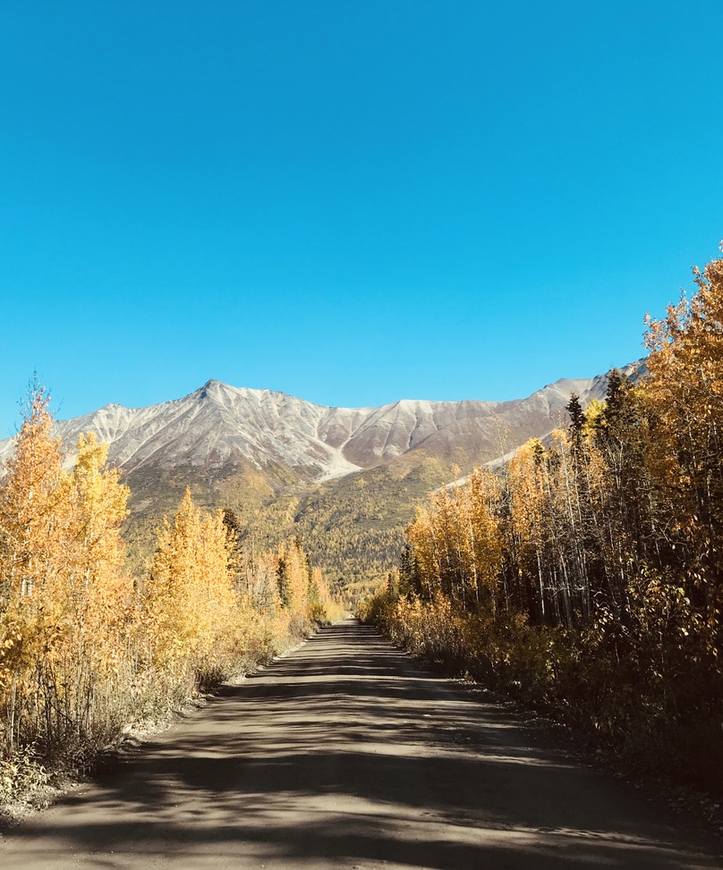 Fall in Alaska

