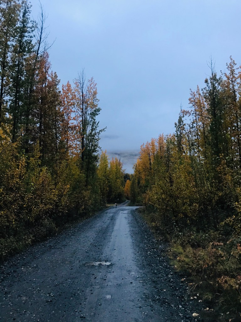Fall in Alaska