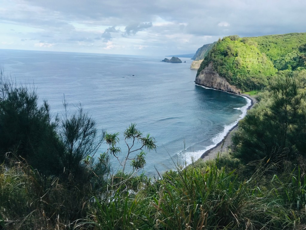Pololu
