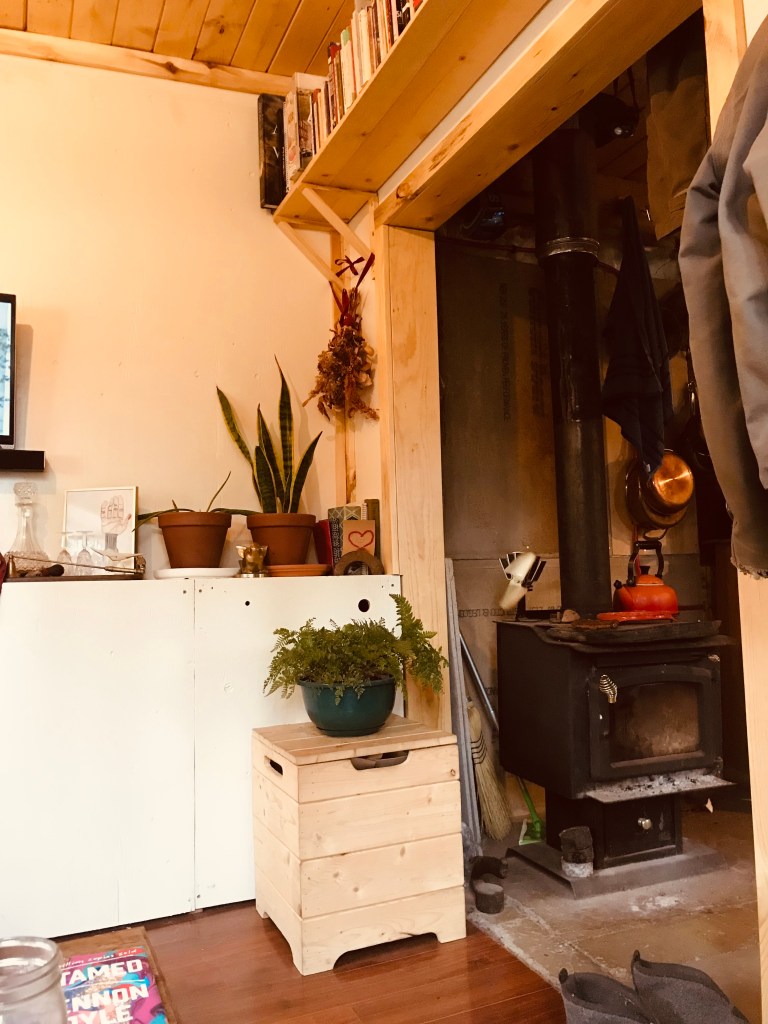 Houseplants in Alaska