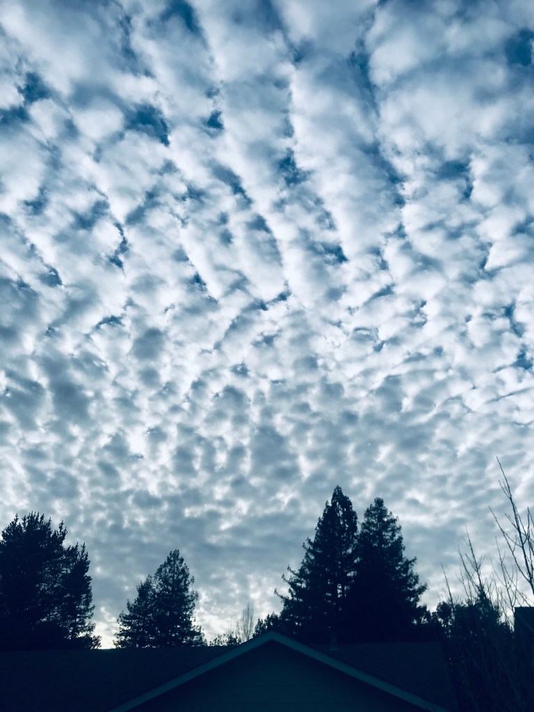 weather in california